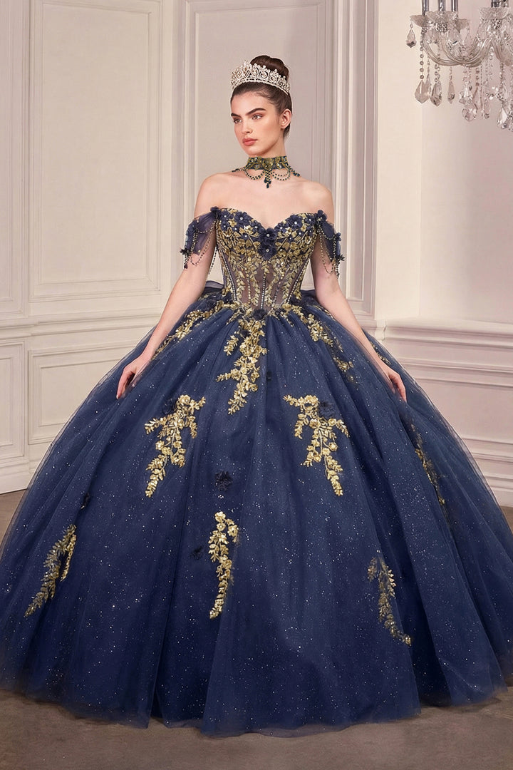 Applique Off Shoulder Ball Gown by Ladivine 15728