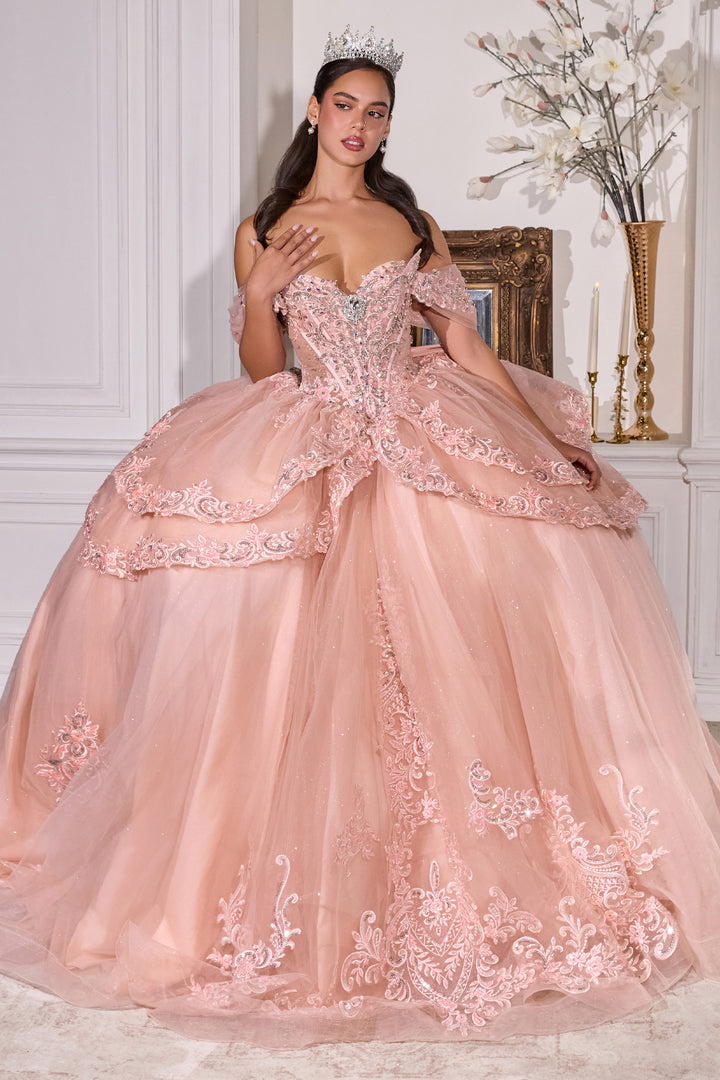 Applique Off Shoulder Ball Gown by Ladivine 15729