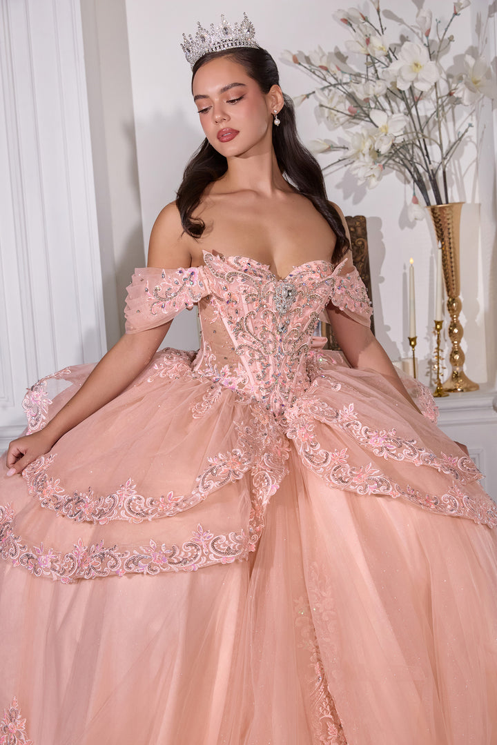 Applique Off Shoulder Ball Gown by Ladivine 15729