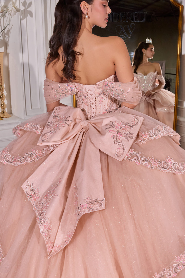 Applique Off Shoulder Ball Gown by Ladivine 15729