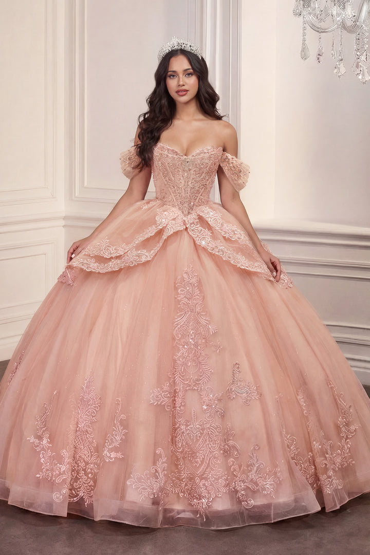 Applique Off Shoulder Ball Gown by Ladivine 15729