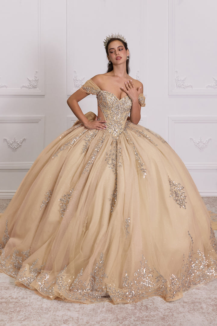 Applique Sweetheart Ball Gown by Ladivine 15730
