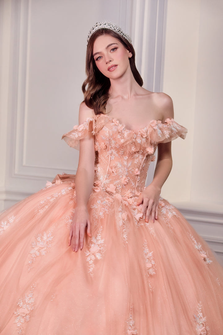 3D Floral Off Shoulder Ball Gown by Ladivine 15731