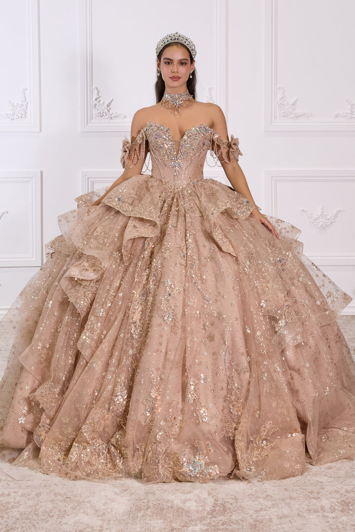 Applique Off Shoulder Ball Gown by Ladivine 15743