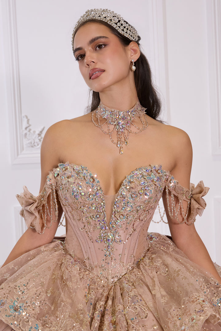 Applique Off Shoulder Ball Gown by Ladivine 15743
