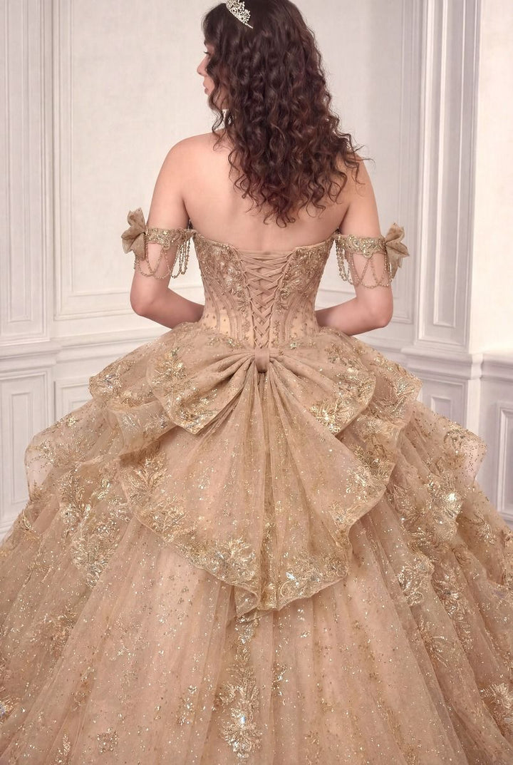 Applique Off Shoulder Ball Gown by Ladivine 15743