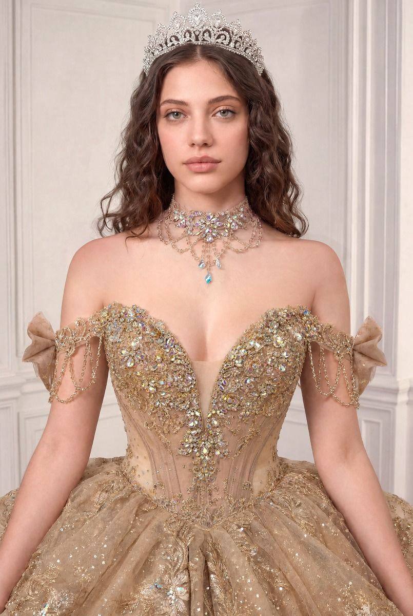 Applique Off Shoulder Ball Gown by Ladivine 15743