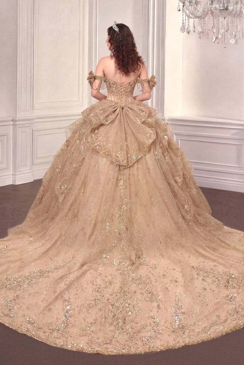 Applique Off Shoulder Ball Gown by Ladivine 15743