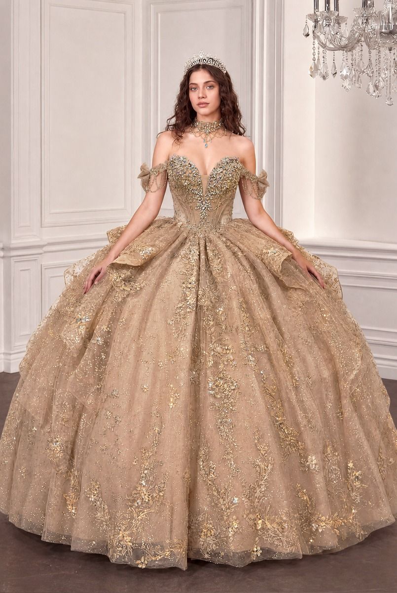 Applique Off Shoulder Ball Gown by Ladivine 15743