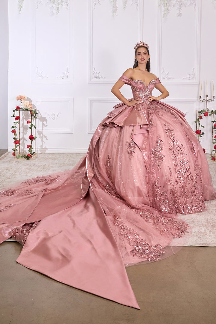 Applique Off Shoulder Ball Gown by Ladivine 15745