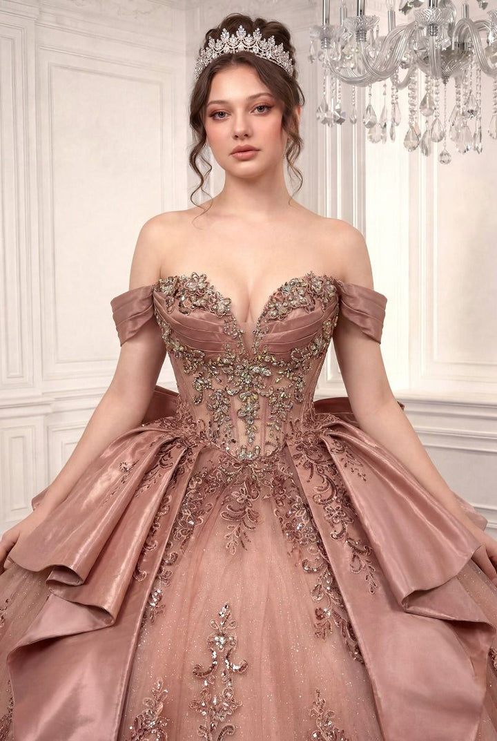 Applique Off Shoulder Ball Gown by Ladivine 15745