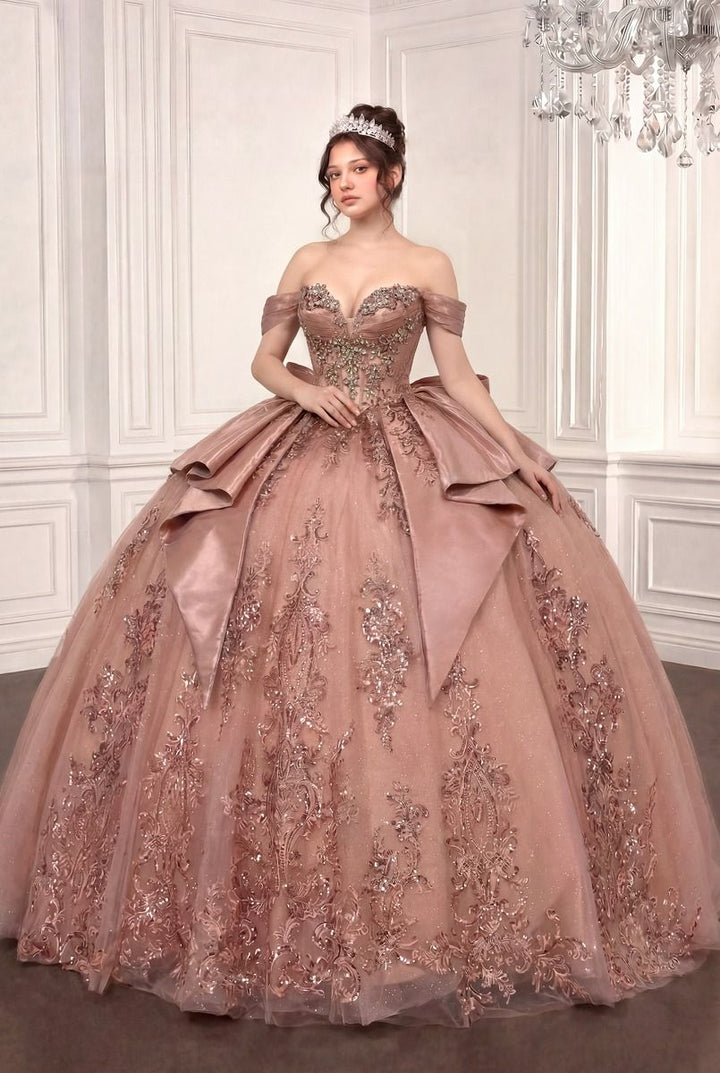 Applique Off Shoulder Ball Gown by Ladivine 15745