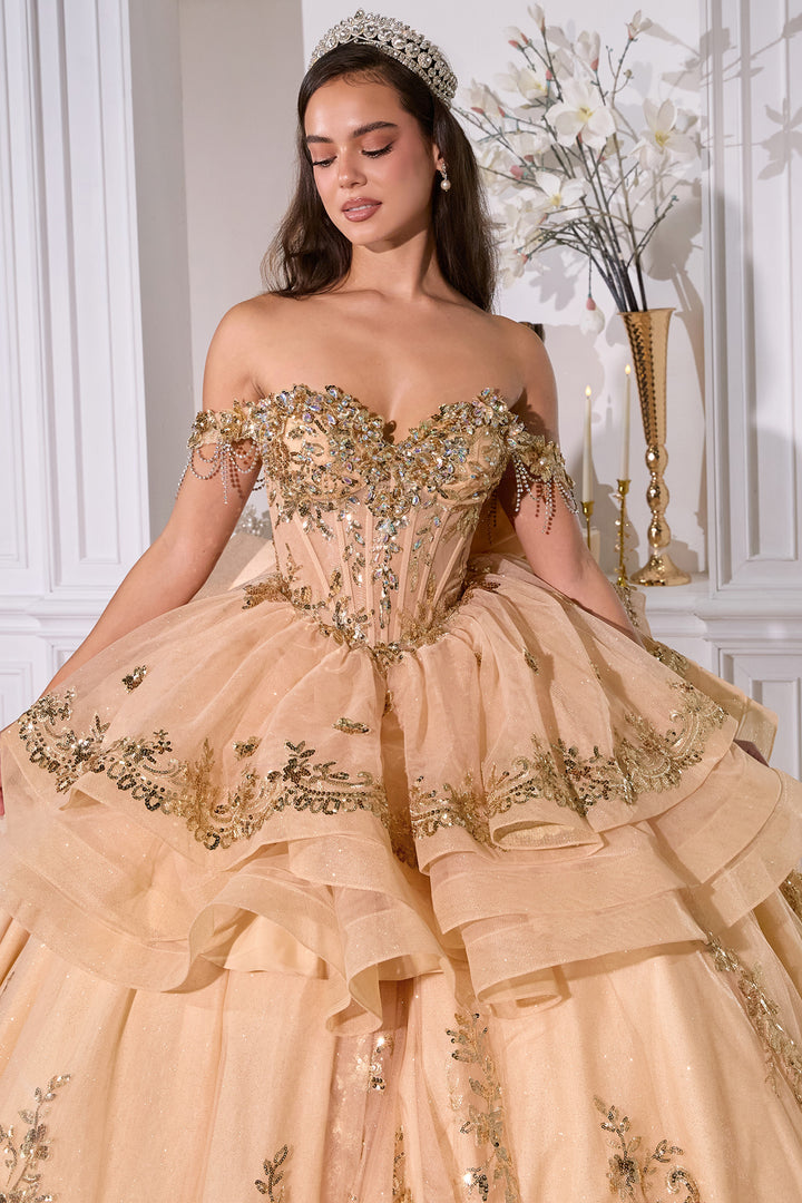 Off Shoulder Ruffled Ball Gown by Ladivine 15746