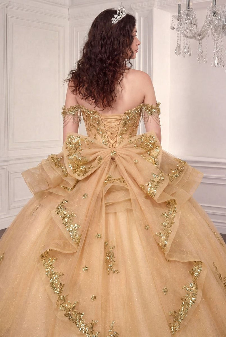 Off Shoulder Ruffled Ball Gown by Ladivine 15746