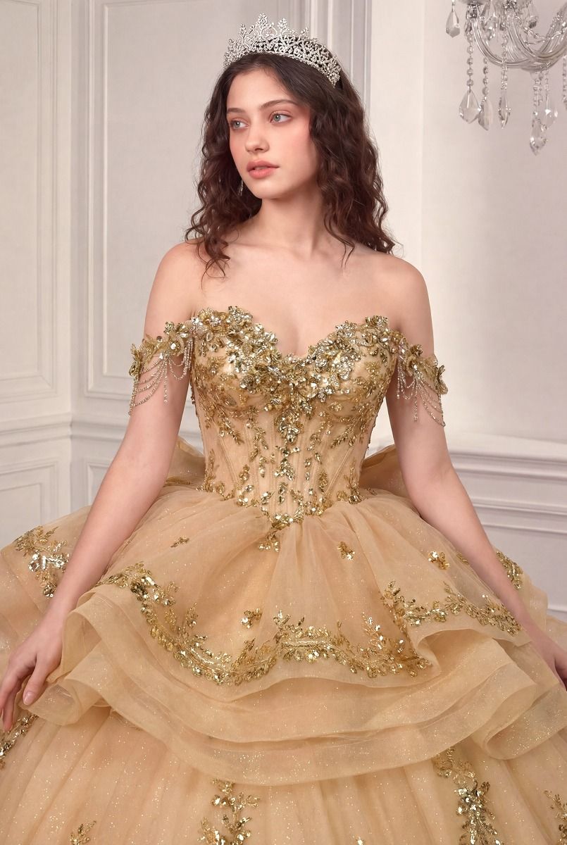 Off Shoulder Ruffled Ball Gown by Ladivine 15746