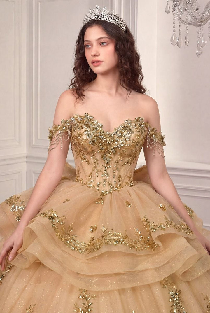 Off Shoulder Ruffled Ball Gown by Ladivine 15746