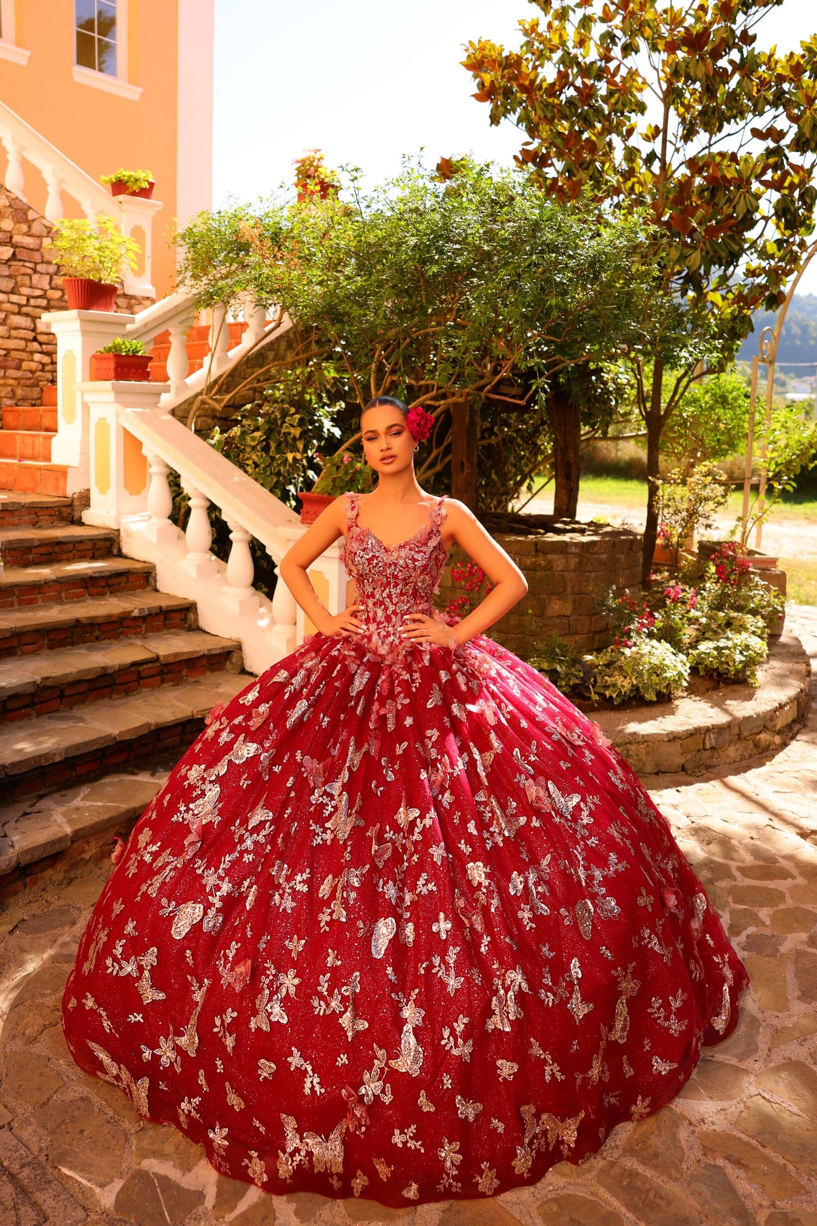 3D Butterfly Cloak Quinceanera Dress by Amarra 54260 – ABC