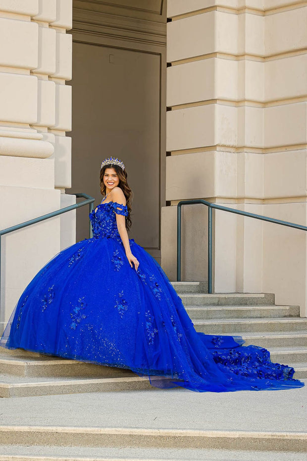 Blue Butterfly Gown – Liylah