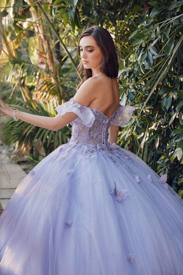 Corset Back Butterfly Applique Off Shoulder Gown