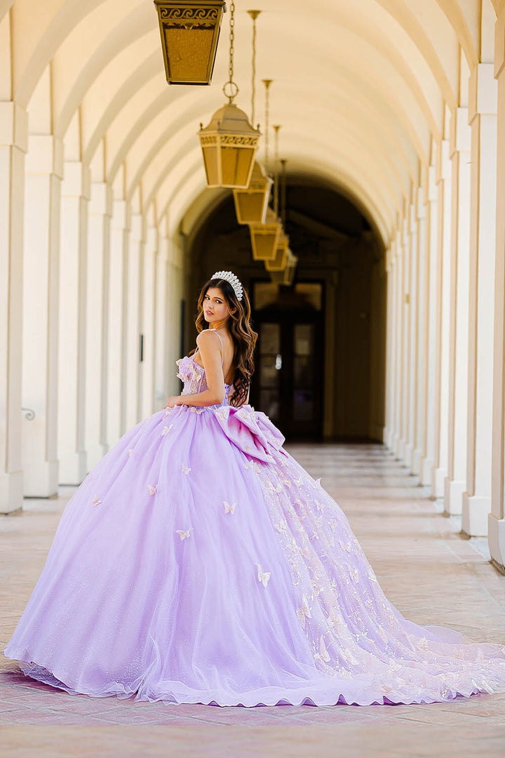 3D Butterfly Sheer Corset Ball Gown by Petite Adele PQ1032
