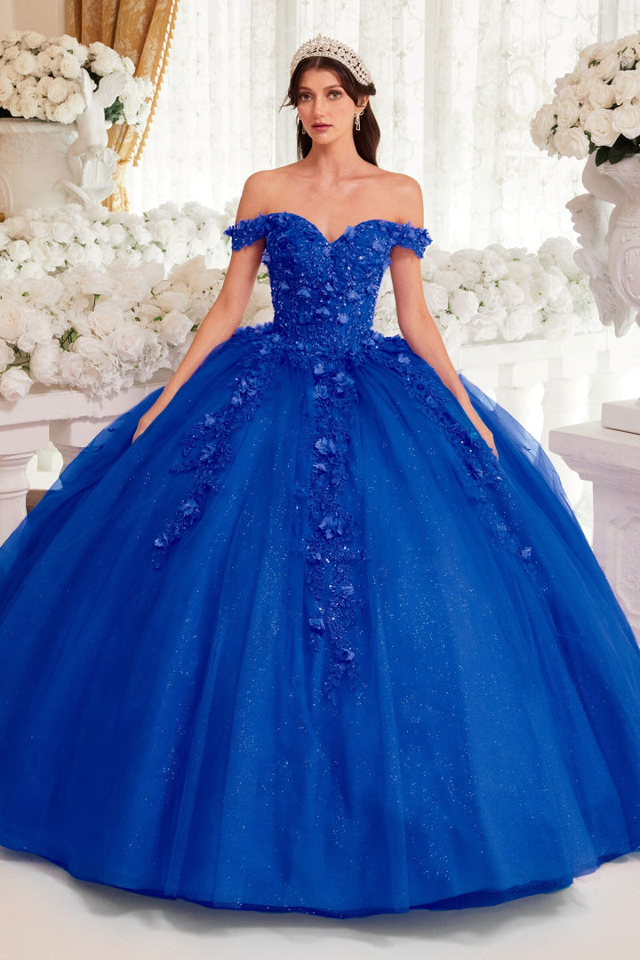 3D Floral Applique Off Shoulder Ball Gown by Ladivine 15717