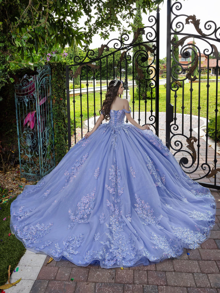 3D Floral Off Shoulder Ball Gown by LizLuo Fiesta 56529