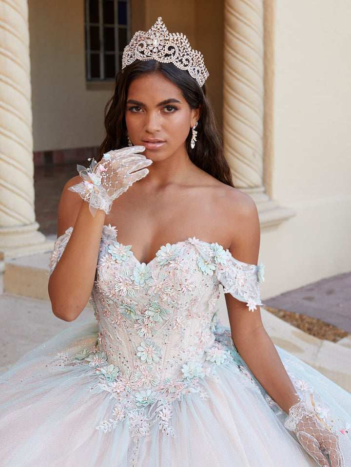 3D Floral Off Shoulder Quinceanera Dress by House of Wu 26055