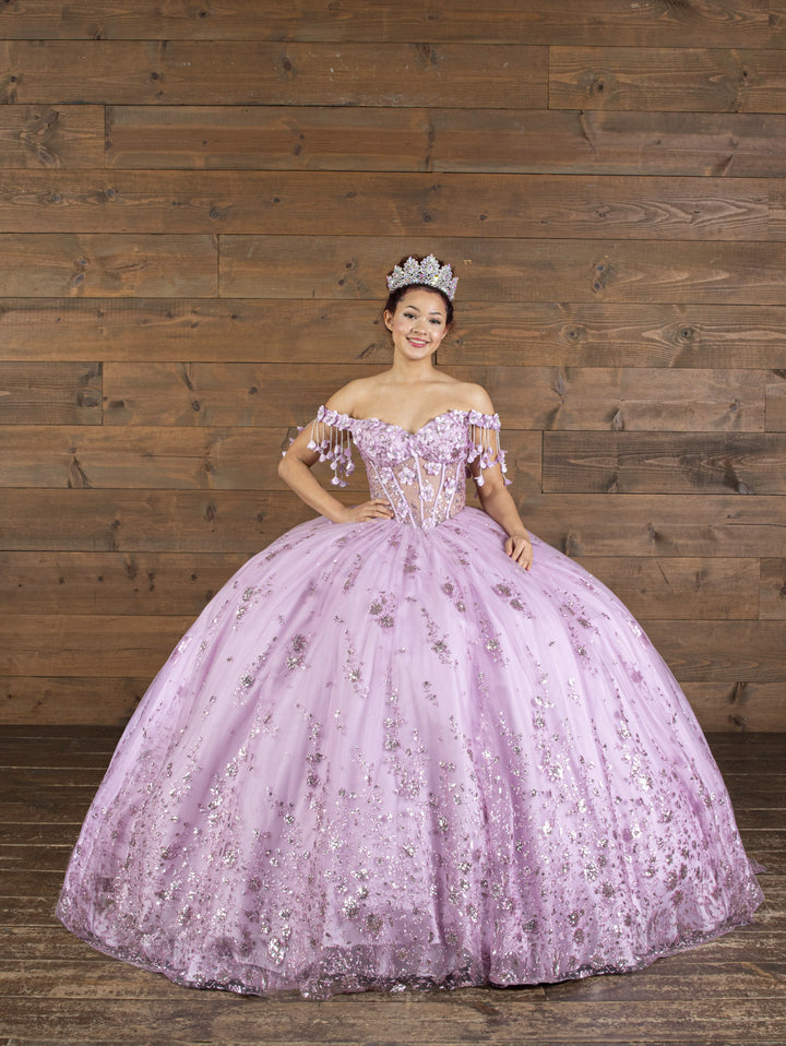 3D Butterfly Off Shoulder Ball Gown by Calla SCL-30038
