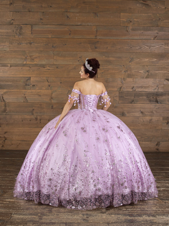 3D Butterfly Off Shoulder Ball Gown by Calla SCL-30038