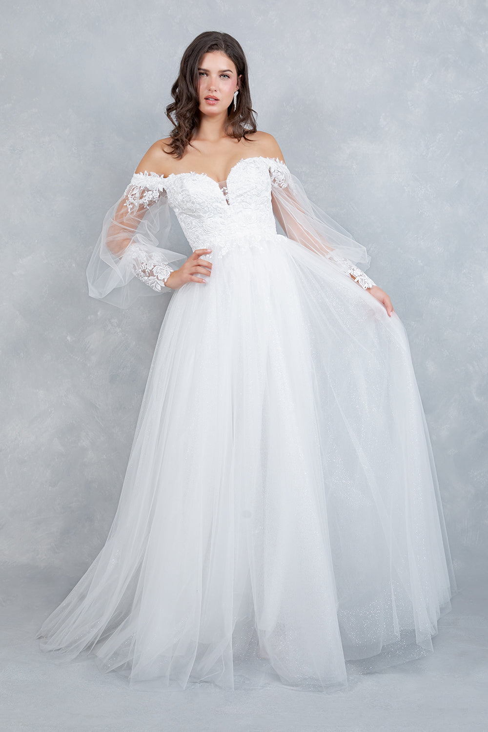 Long Sleeve A-line Gown by Cinderella Couture 4233