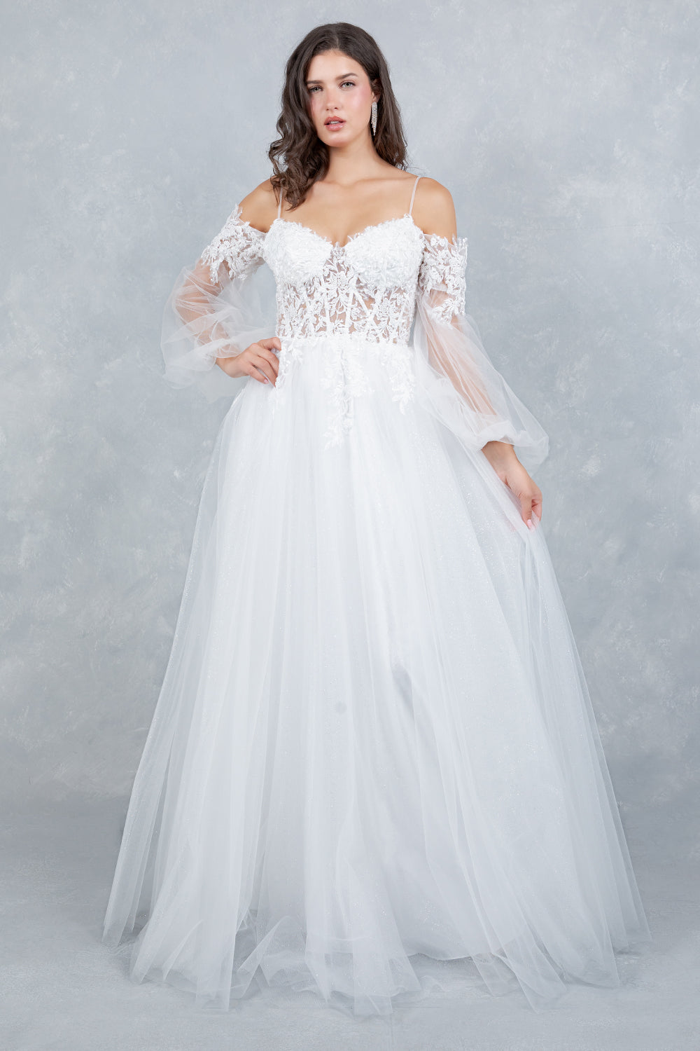 Long Sleeve A-line Gown by Cinderella Couture 4234