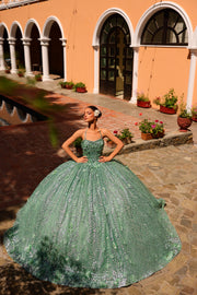 3D Floral Glitter Cape Quinceanera Dress by Amarra 54248
