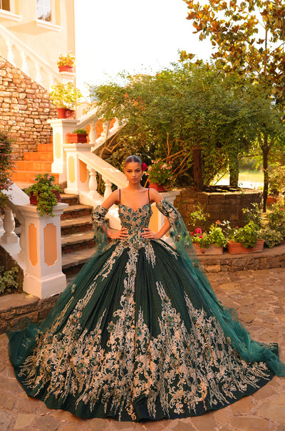 3D Floral Cape Sleeve Quinceanera Dress by Amarra 54326