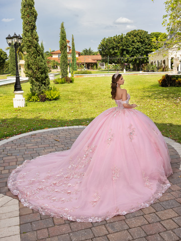 3D Floral Off Shoulder Ball Gown by LizLuo Fiesta 56526