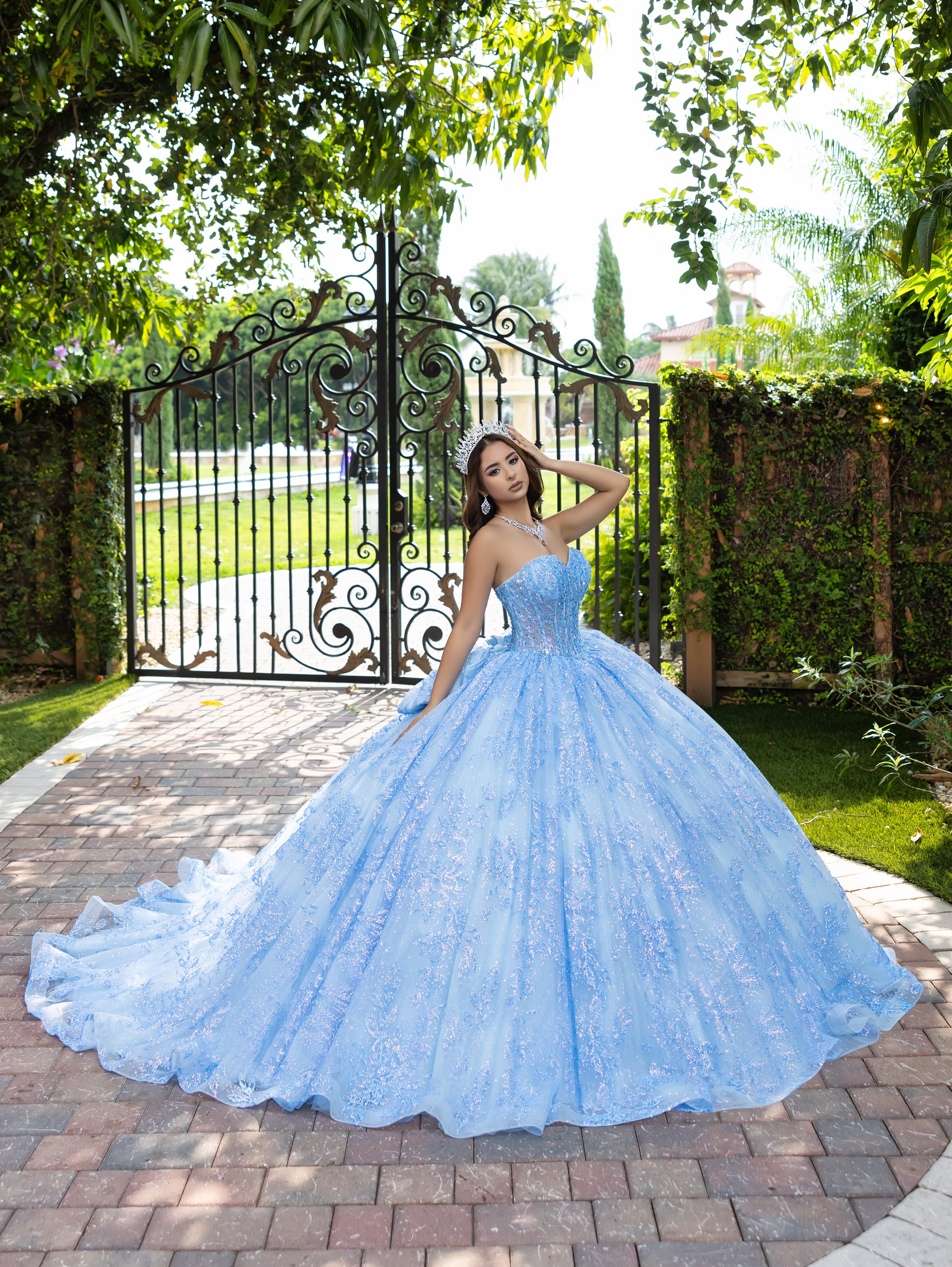 Glitter Strapless Ball Gown by LizLuo Fiesta 56527 – ABC Fashion