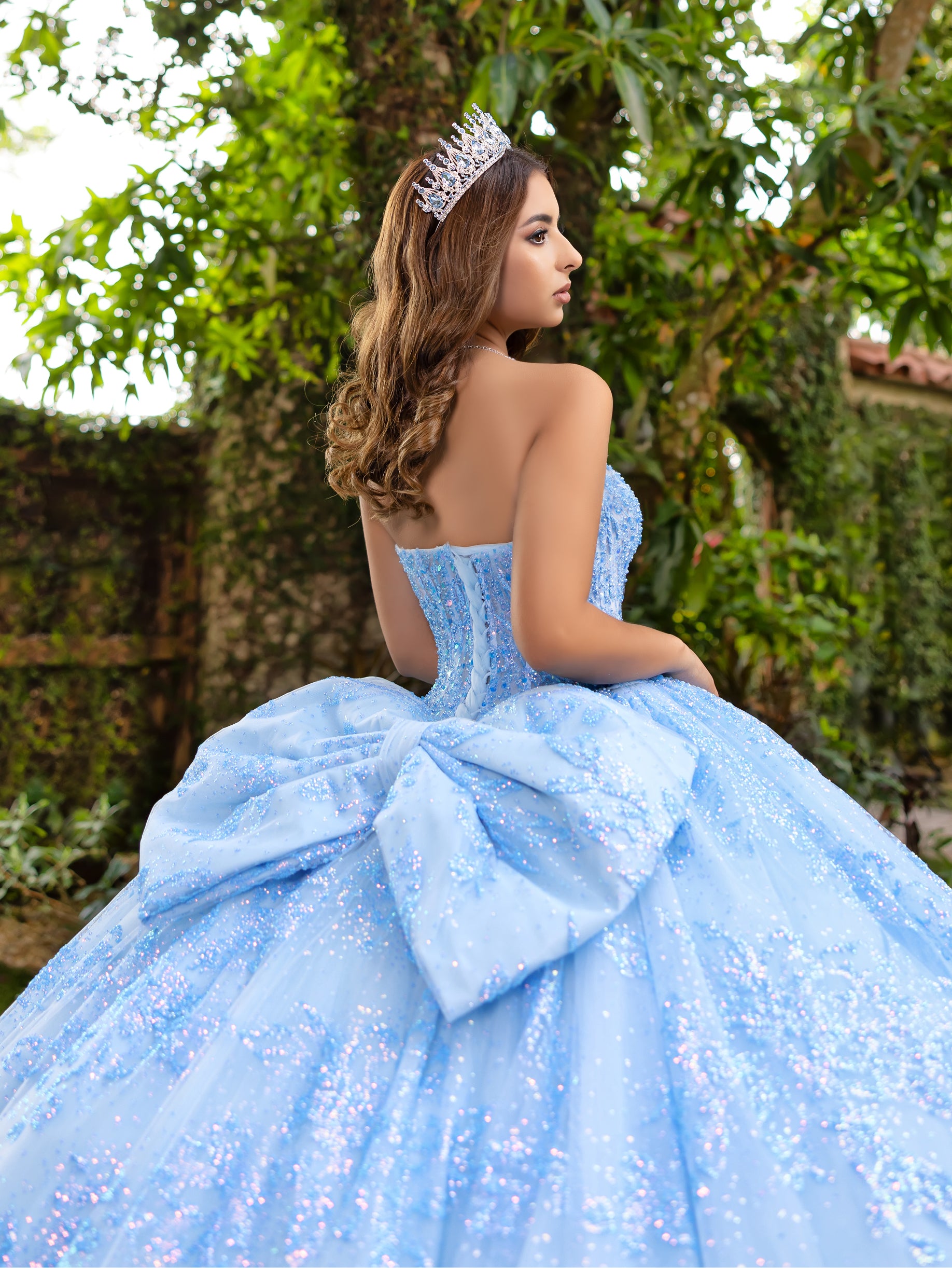 Glitter Strapless Ball Gown by LizLuo Fiesta 56527 – ABC Fashion