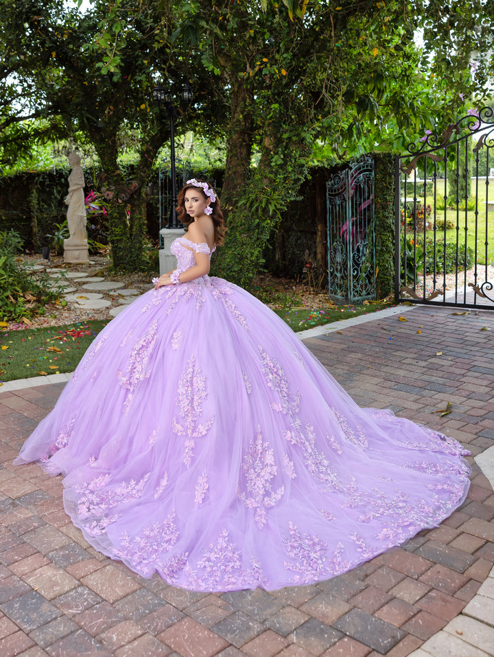3D Floral Off Shoulder Ball Gown by LizLuo Fiesta 56529
