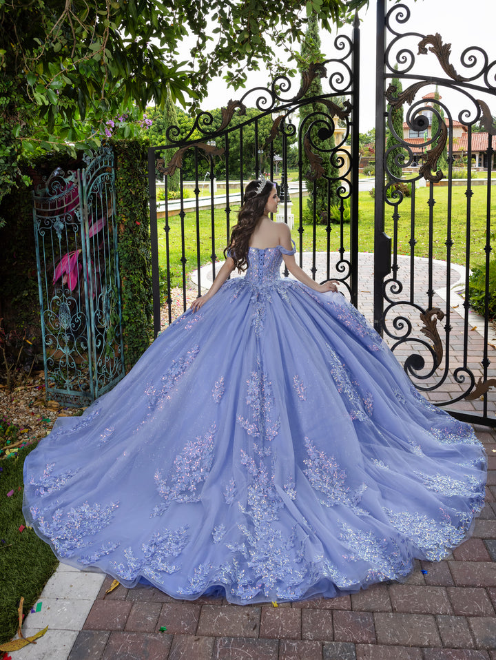 3D Floral Off Shoulder Ball Gown by LizLuo Fiesta 56529