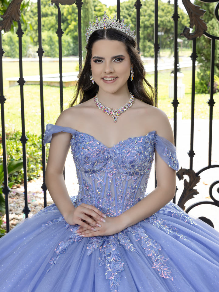 3D Floral Off Shoulder Ball Gown by LizLuo Fiesta 56529