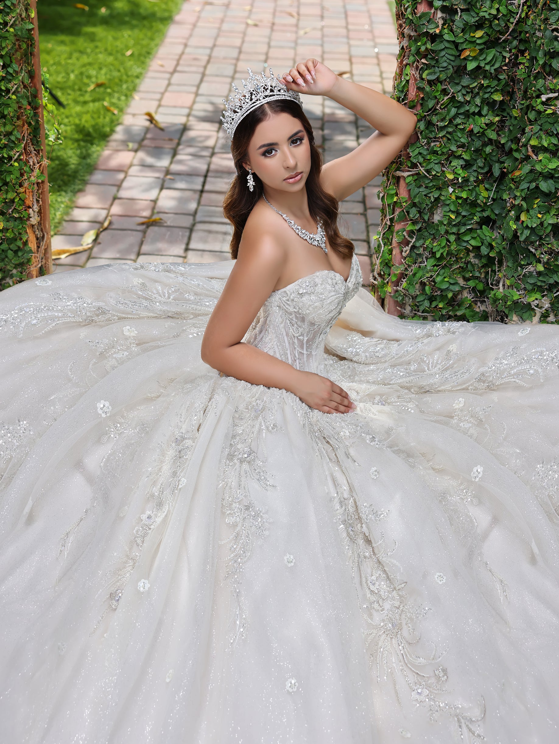 Applique Strapless Ball Gown by LizLuo Fiesta 56532 – ABC Fashion