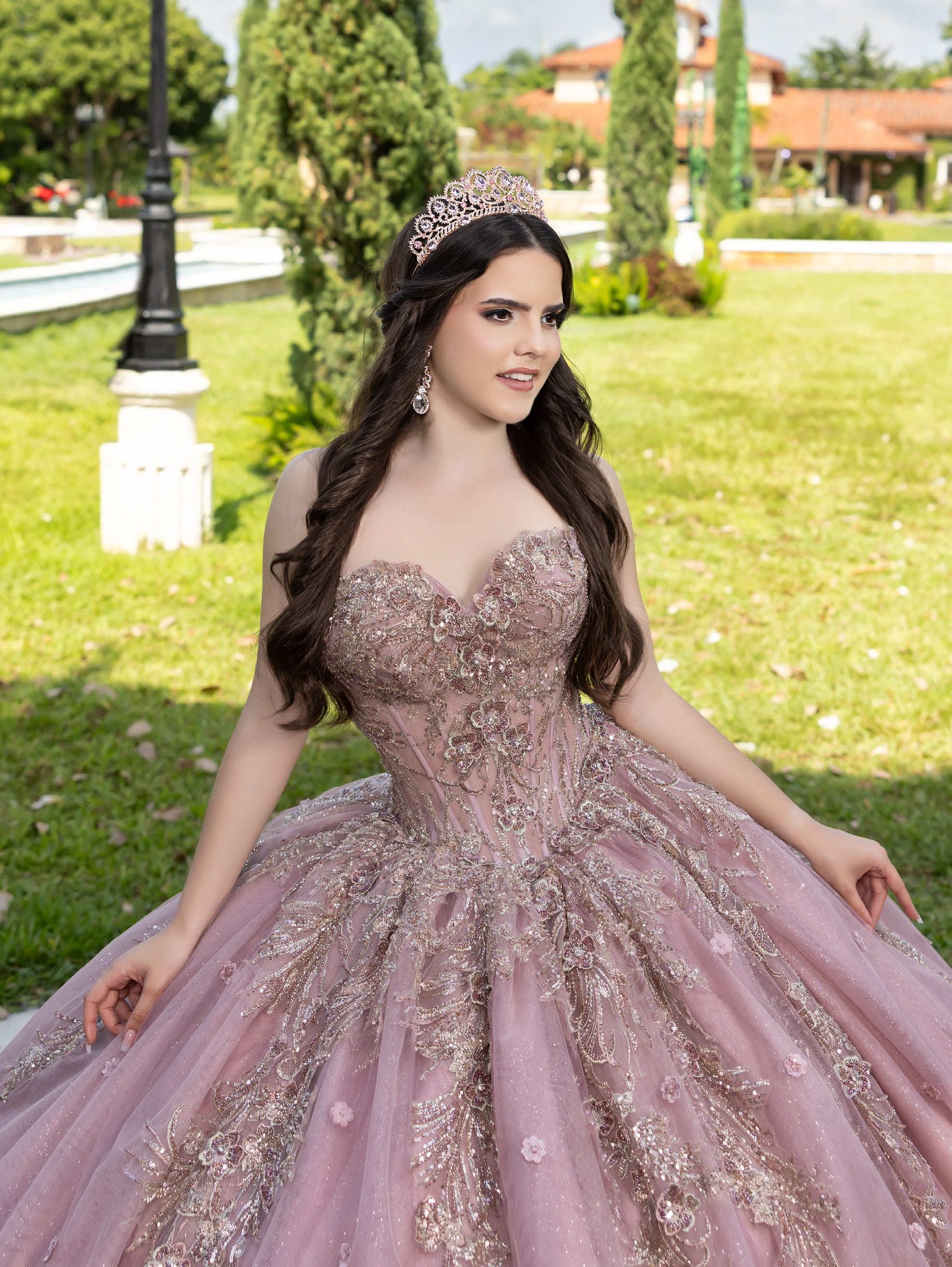 Applique Strapless Ball Gown by LizLuo Fiesta 56532 – ABC Fashion