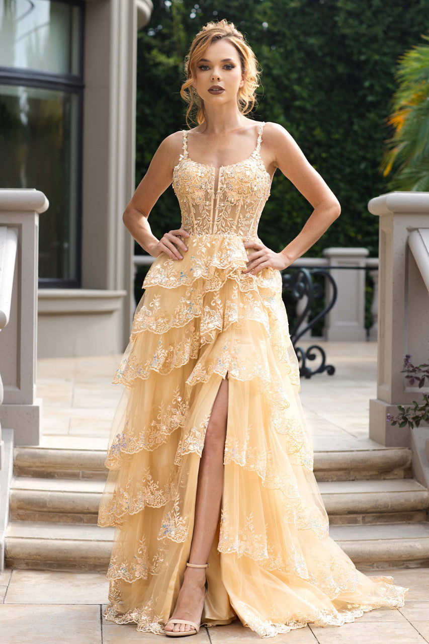 Applique Sleeveless A-line Tiered Gown by Lenovia 8372