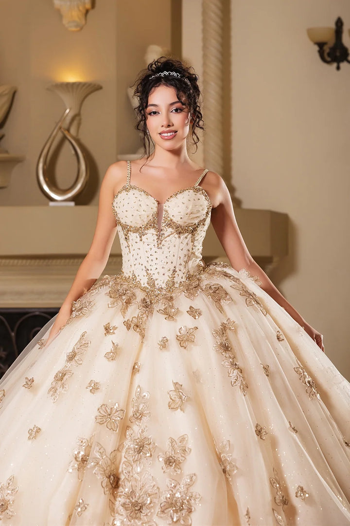 Applique Sleeveless Ball Gown by May Queen LK282