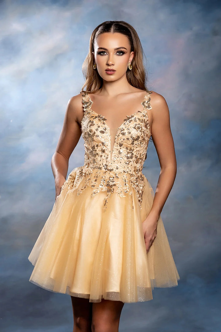 Applique Short Sleeveless Dress by May Queen MQ2246