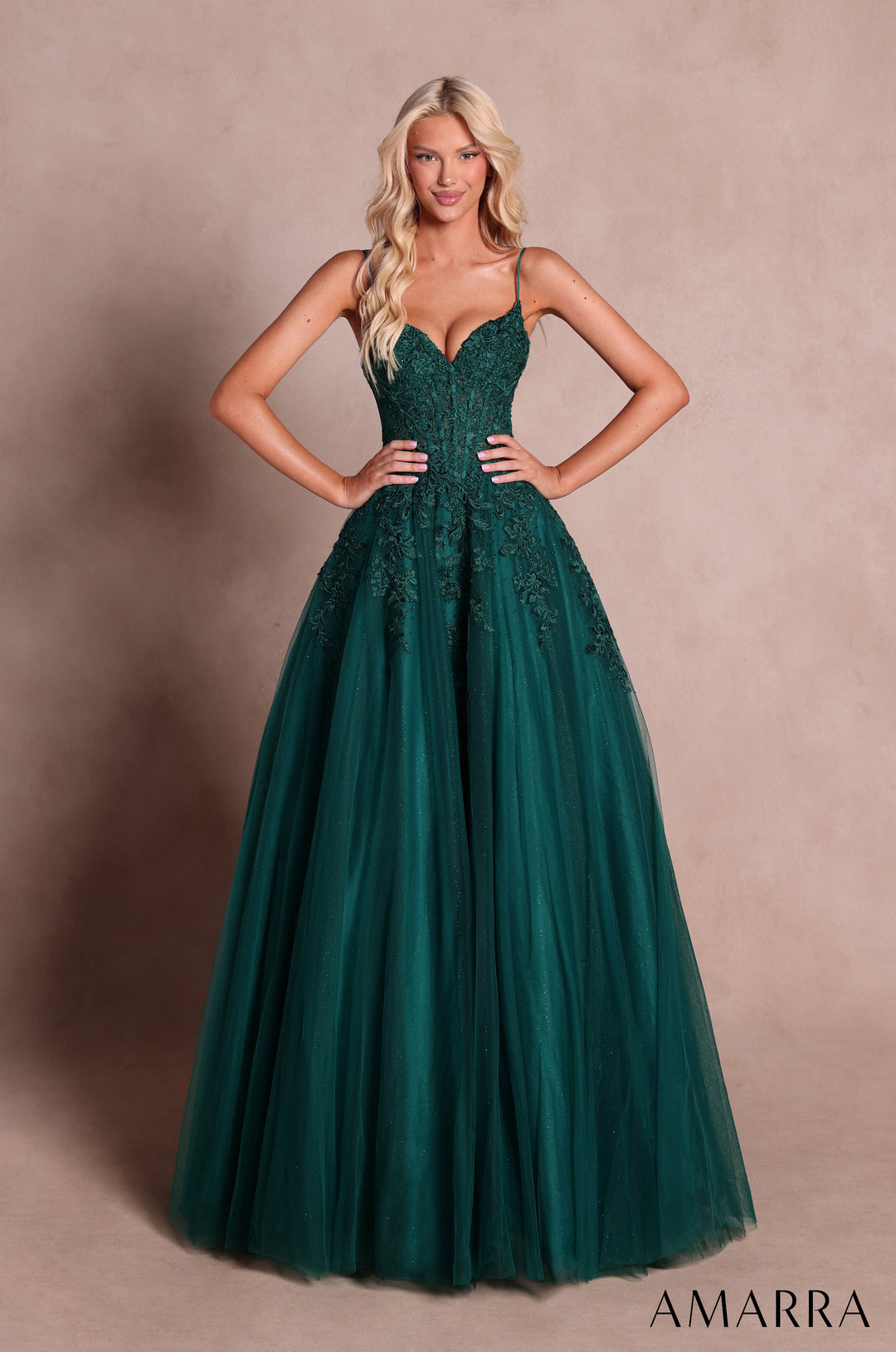 Applique Sleeveless A-line Gown by Amarra 89682