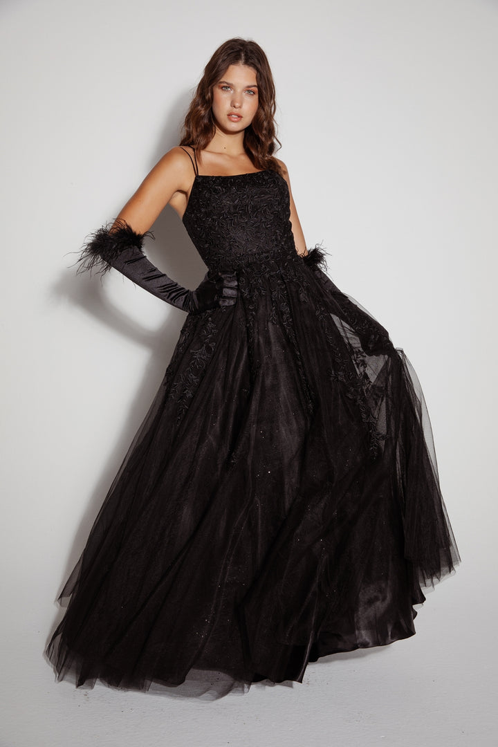 Embroidered Sleeveless A-line Gown by Eureka 9757