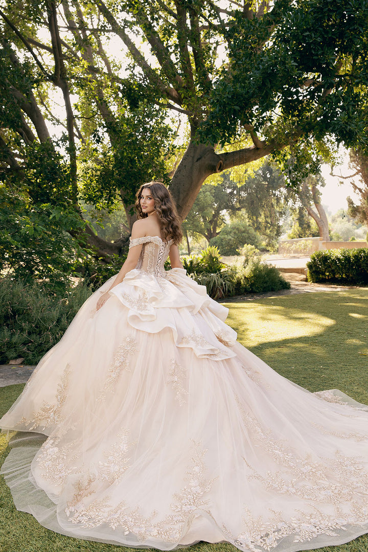 Applique Off Shoulder Ball Gown by Petite Adele PQ1082