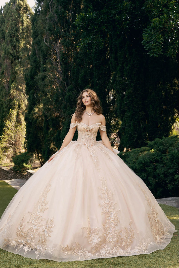 Applique Off Shoulder Ball Gown by Petite Adele PQ1082