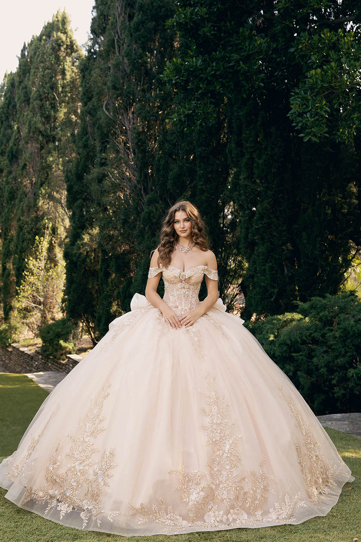 Applique Off Shoulder Ball Gown by Petite Adele PQ1082