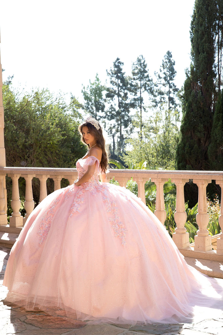 Embroidered Sweetheart Ball Gown by Petite Adele PQ1026
